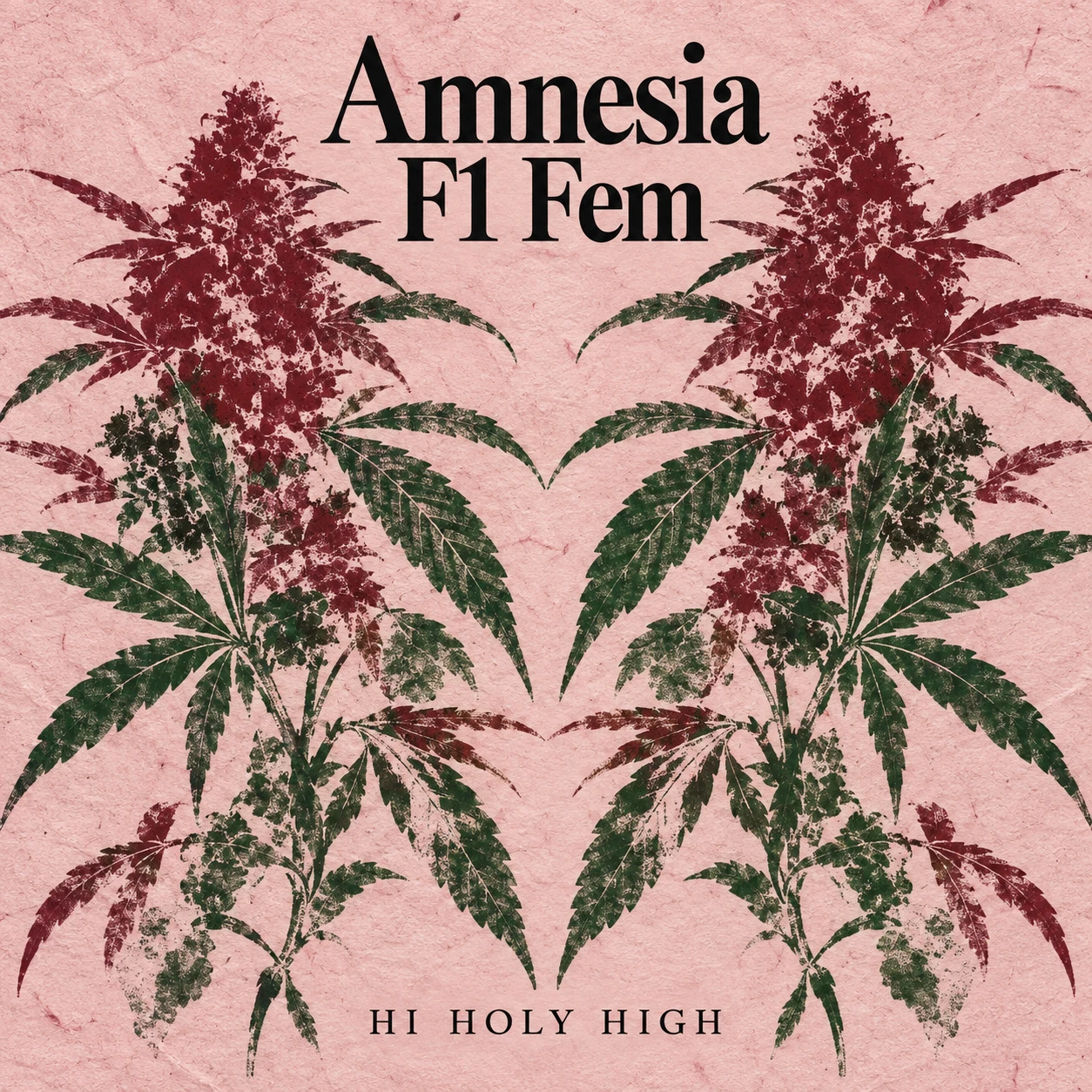 Vorläufiger Entwurf A-S1 · Amnesia F1 Fem