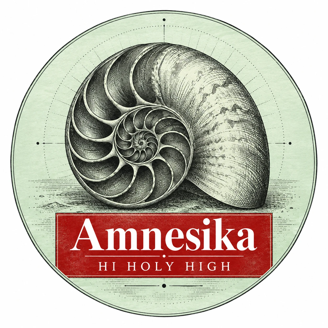 Arte provisional A-R1 · Amnesika