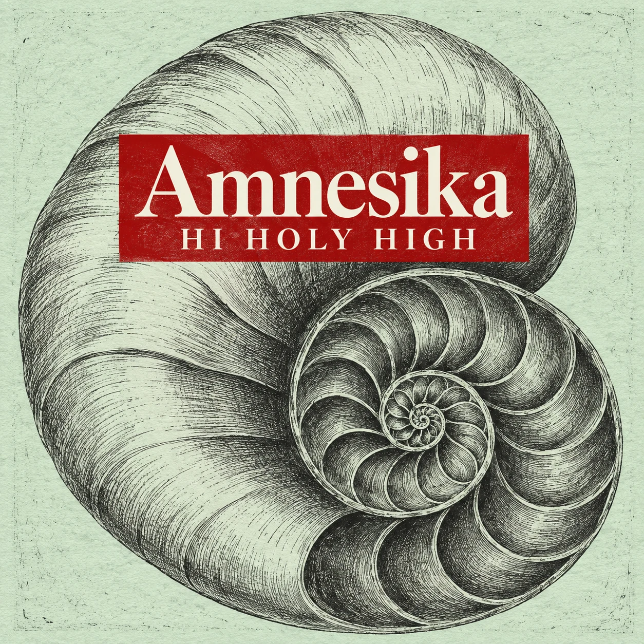 Arte provisional A-S1 · Amnesika