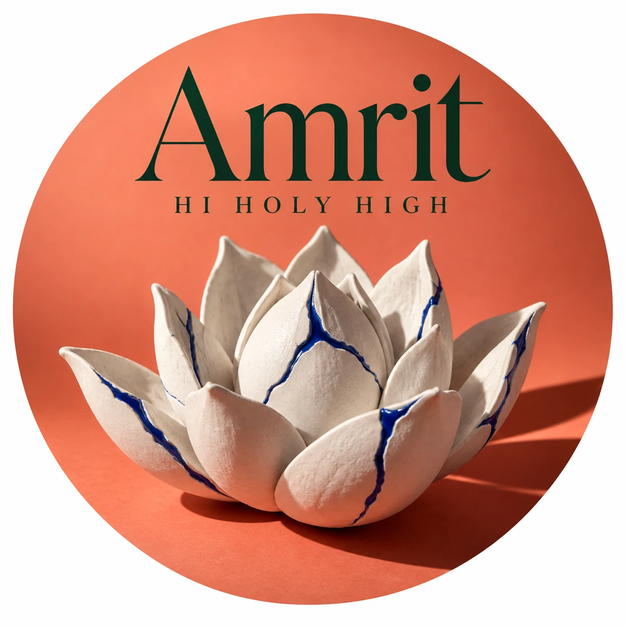 Vorläufiger Entwurf A-R1 · Amrit