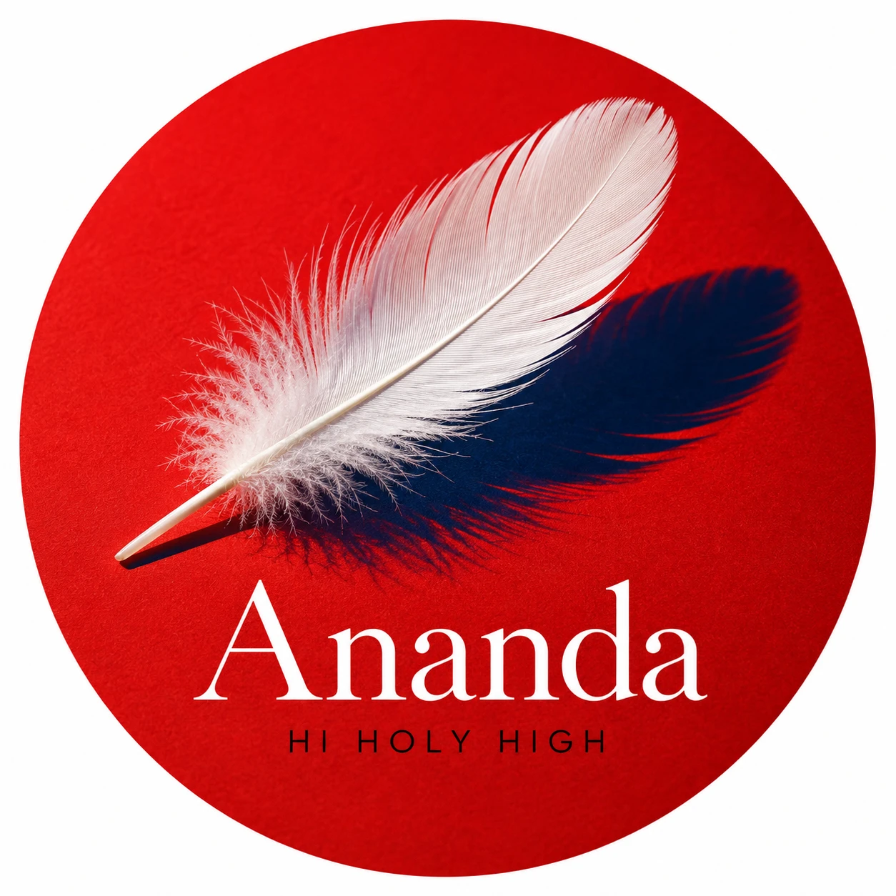 Arte provisional A-R1 · Ananda