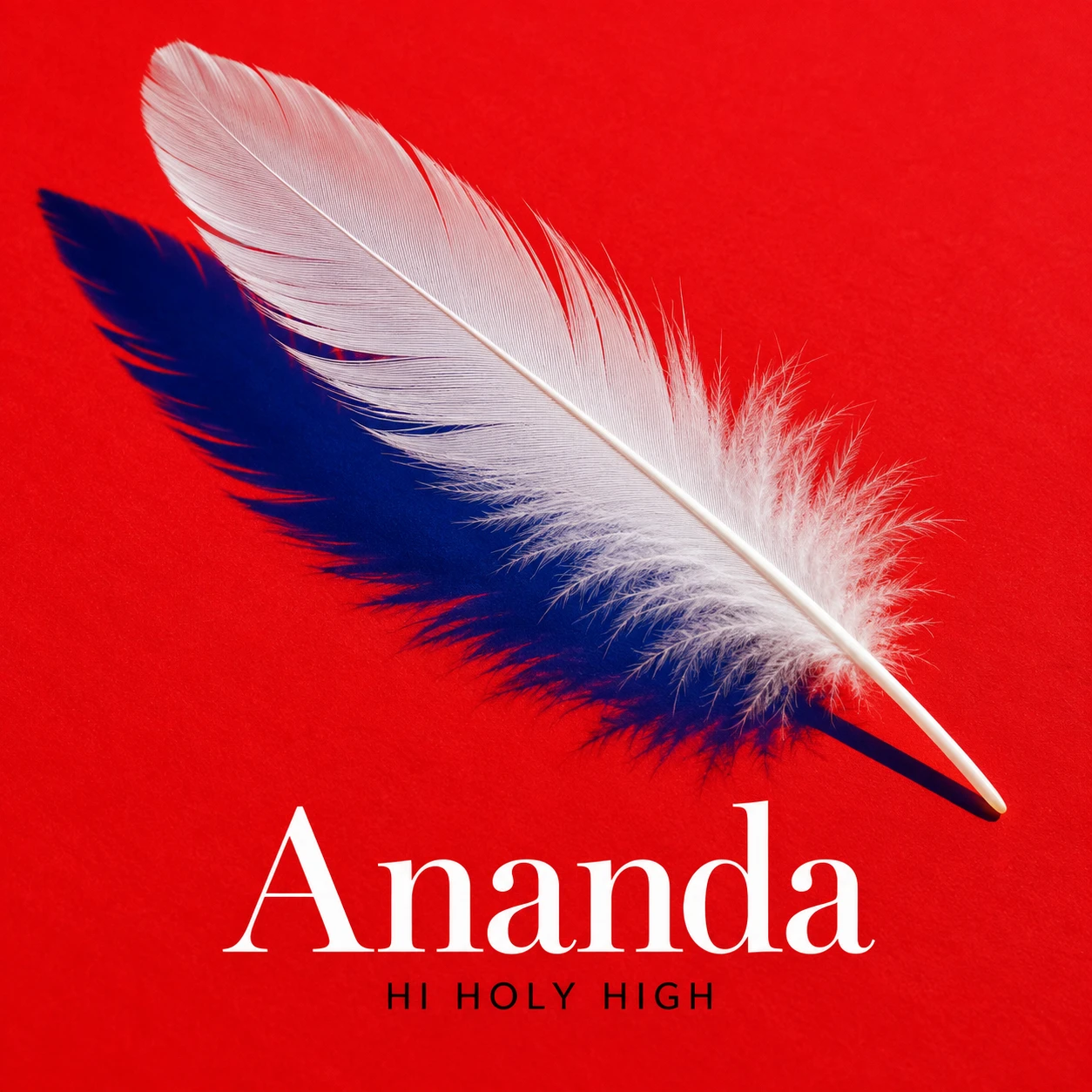 Arte provisional A-S1 · Ananda