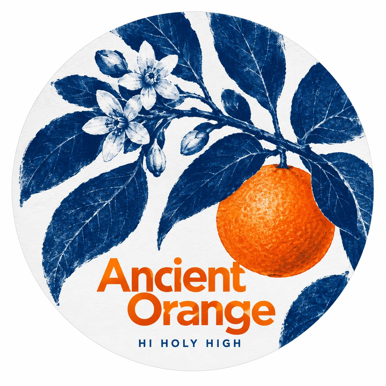 Vorläufiger Entwurf A-R1 · Ancient Orange