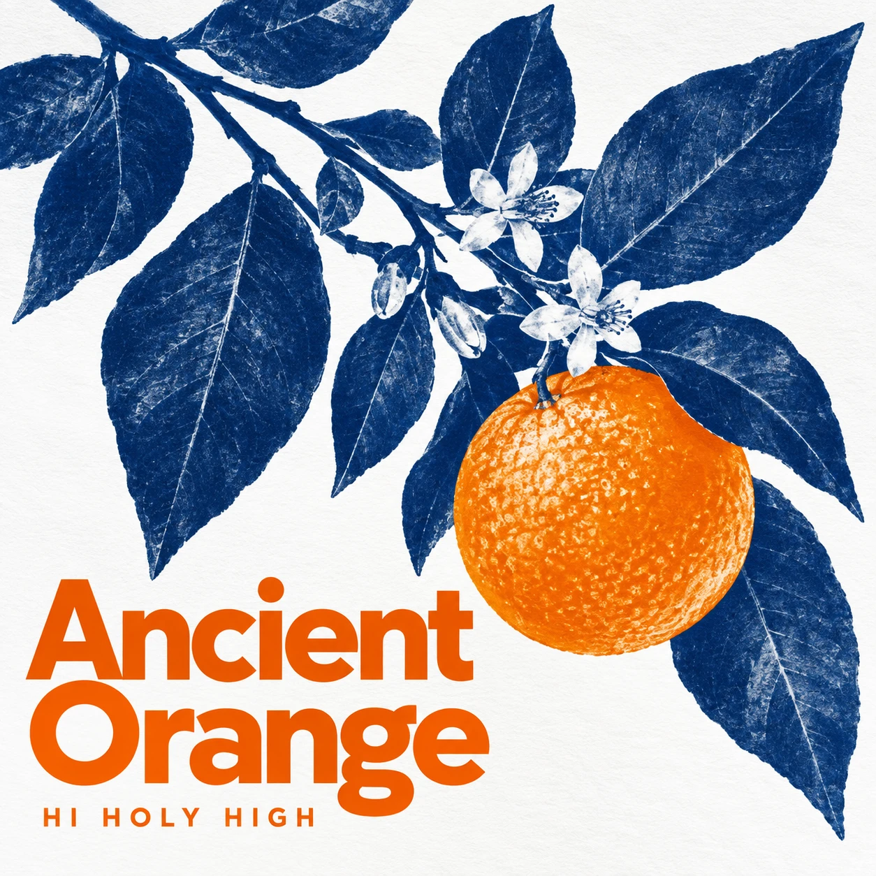 Vorläufiger Entwurf A-S1 · Ancient Orange