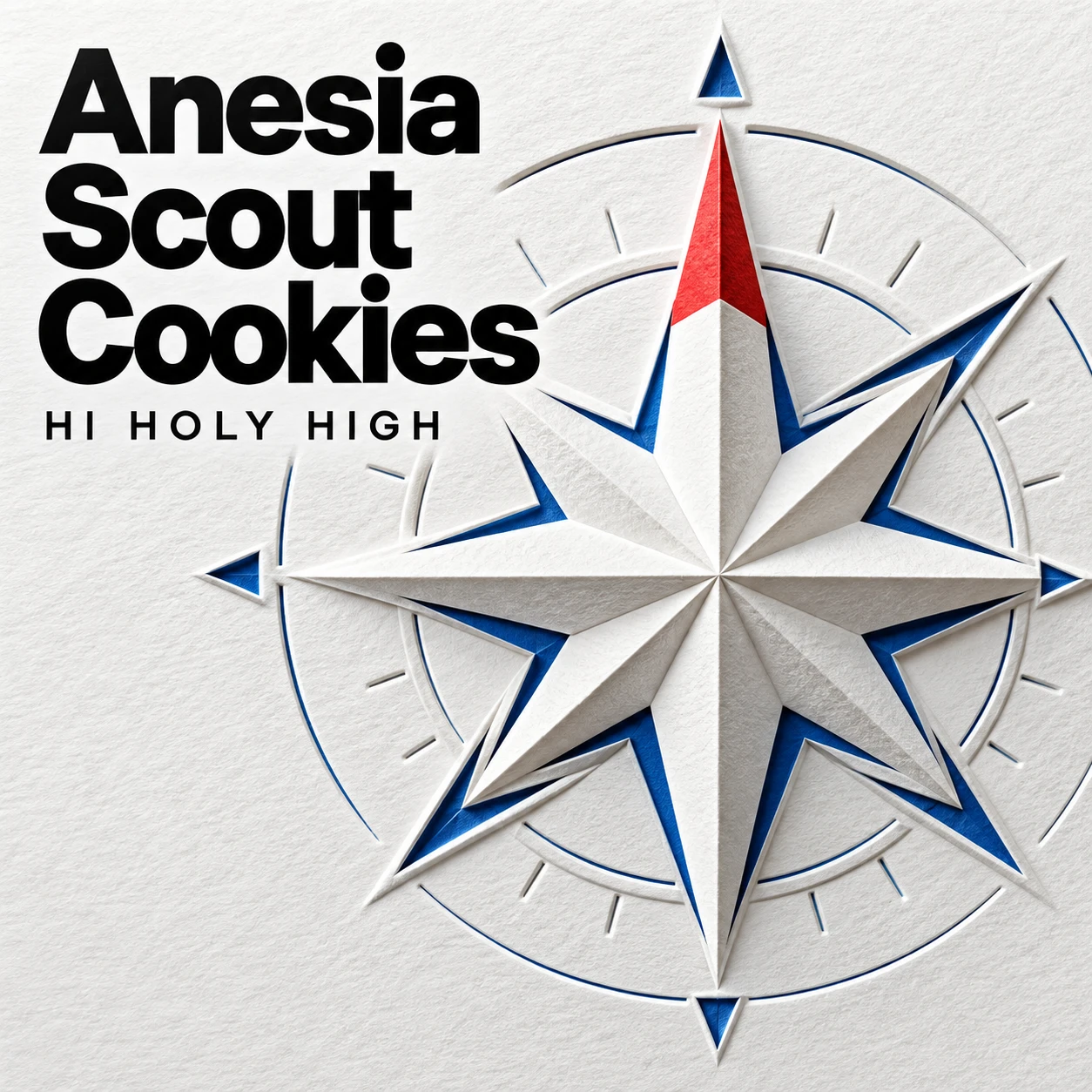 Provisional artwork A-S1 · Anesia Scout Cookies