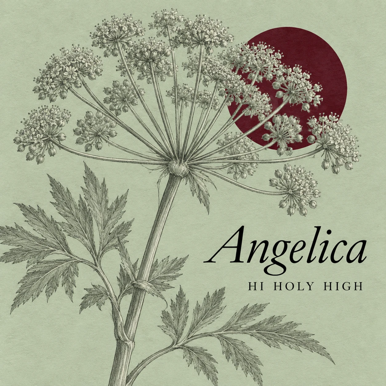Arte provisional A-S1 · Angelica