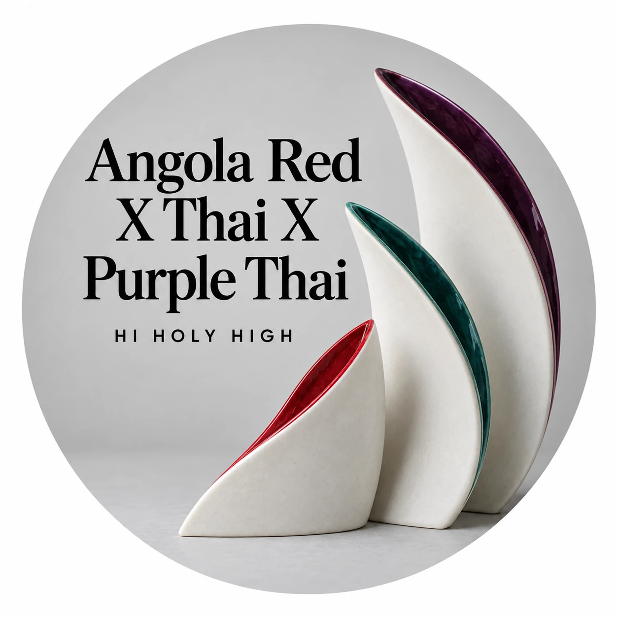 Arte provisional A-R1 · Angola Red X Thai X Purple Thai