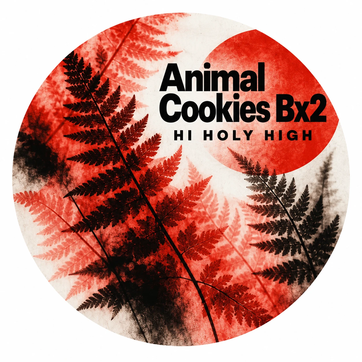 Vorläufiger Entwurf A-R1 · Animal Cookies Bx2
