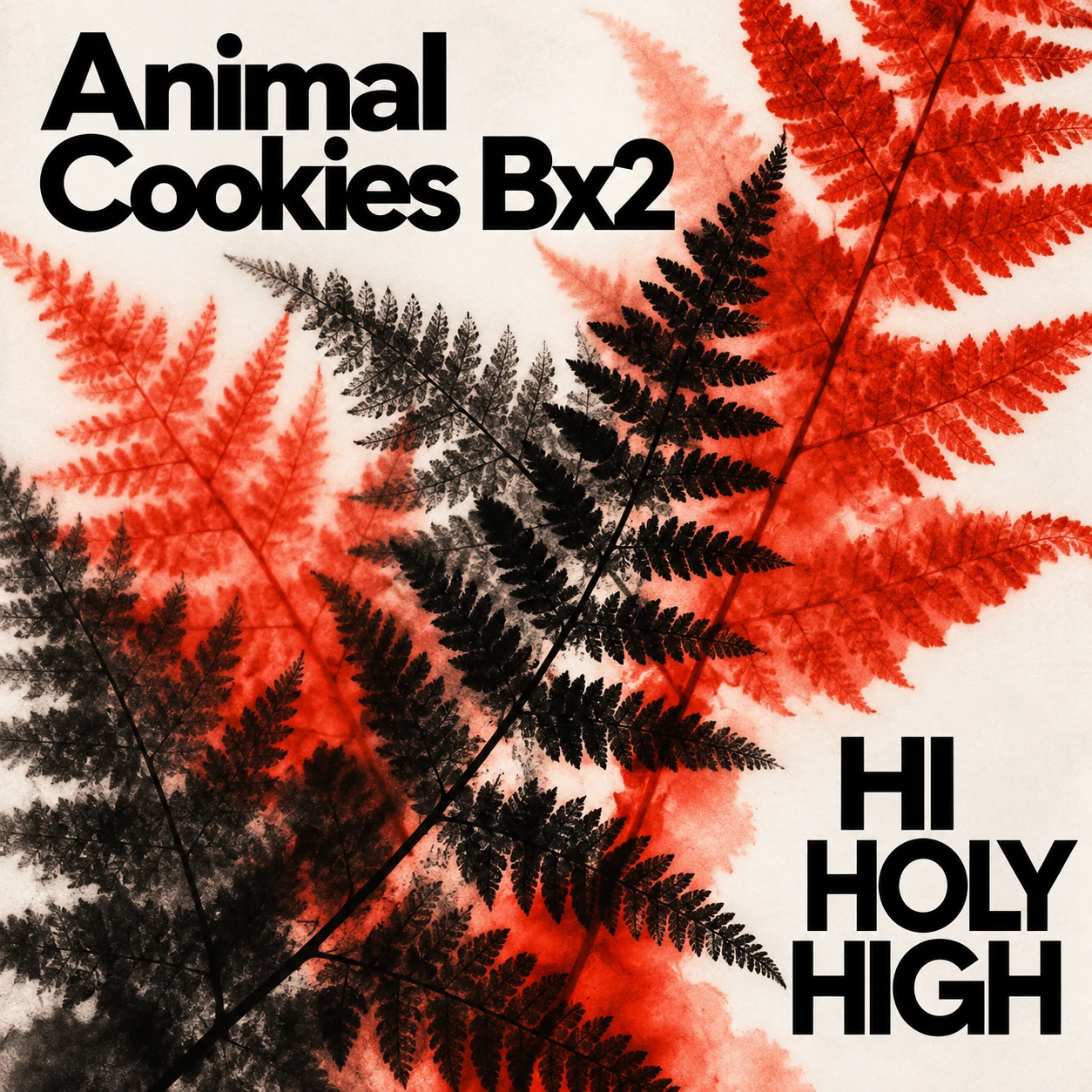 Vorläufiger Entwurf A-S1 · Animal Cookies Bx2