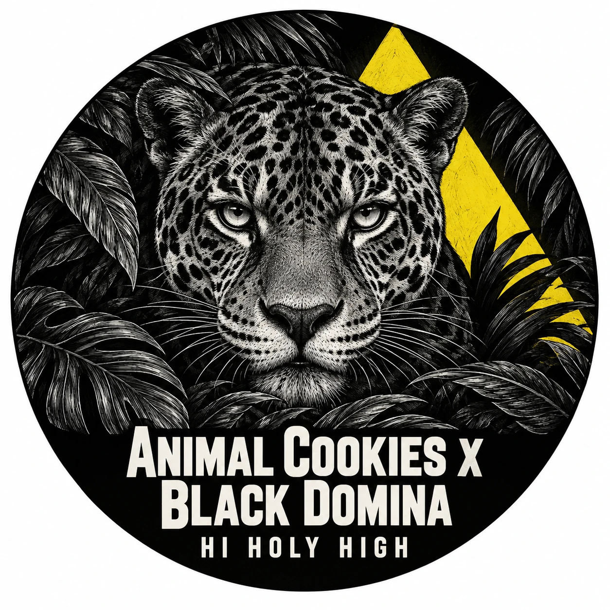 Arte provisional A-R1 · Animal Cookies x Black Domina