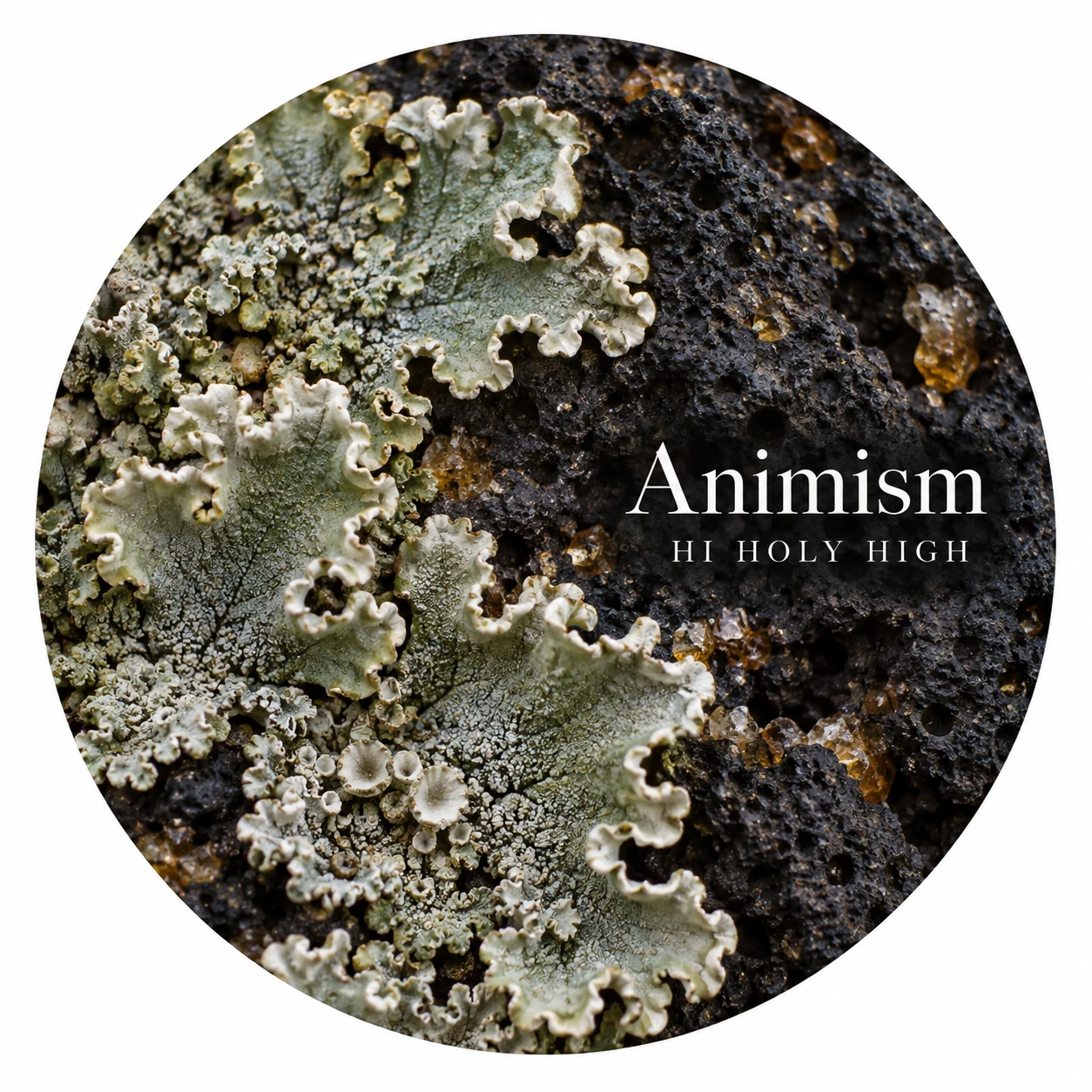Arte provisional A-R1 · Animism