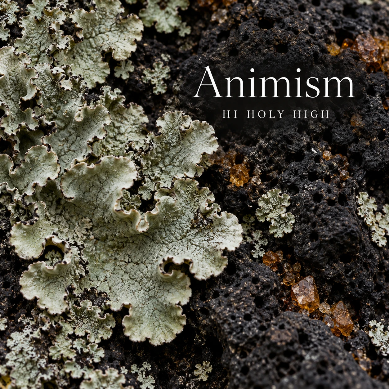 Arte provisional A-S1 · Animism