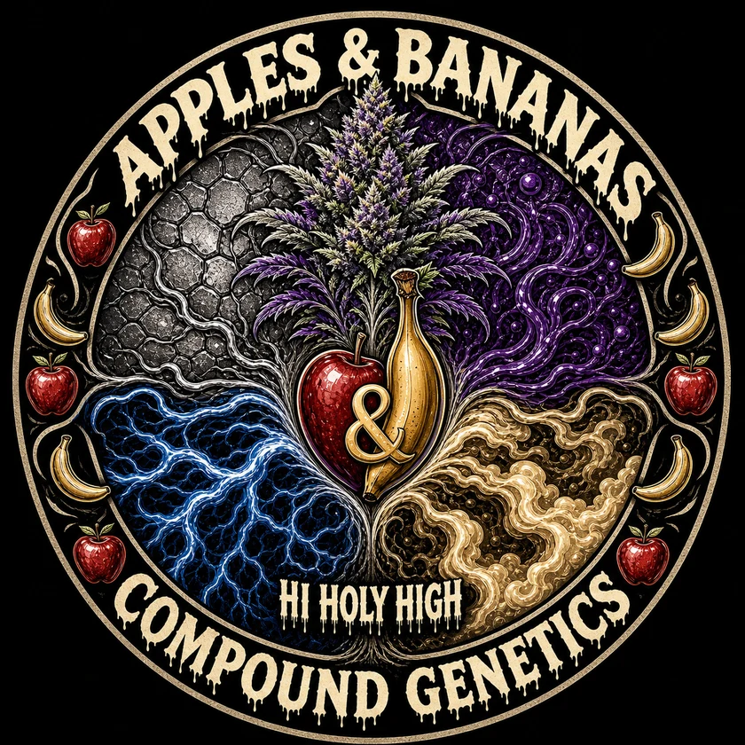 Top-rated round artwork for Apple and bananas ( compound )