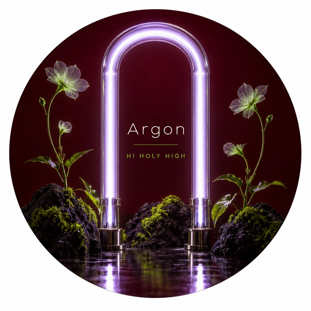 Vorläufiger Entwurf A-R1 · Argon