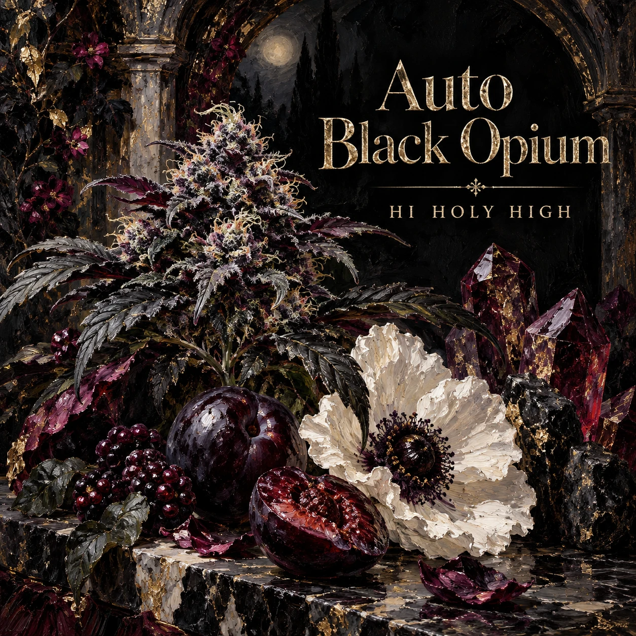 Arte provisional A-S1 · Auto Black Opium