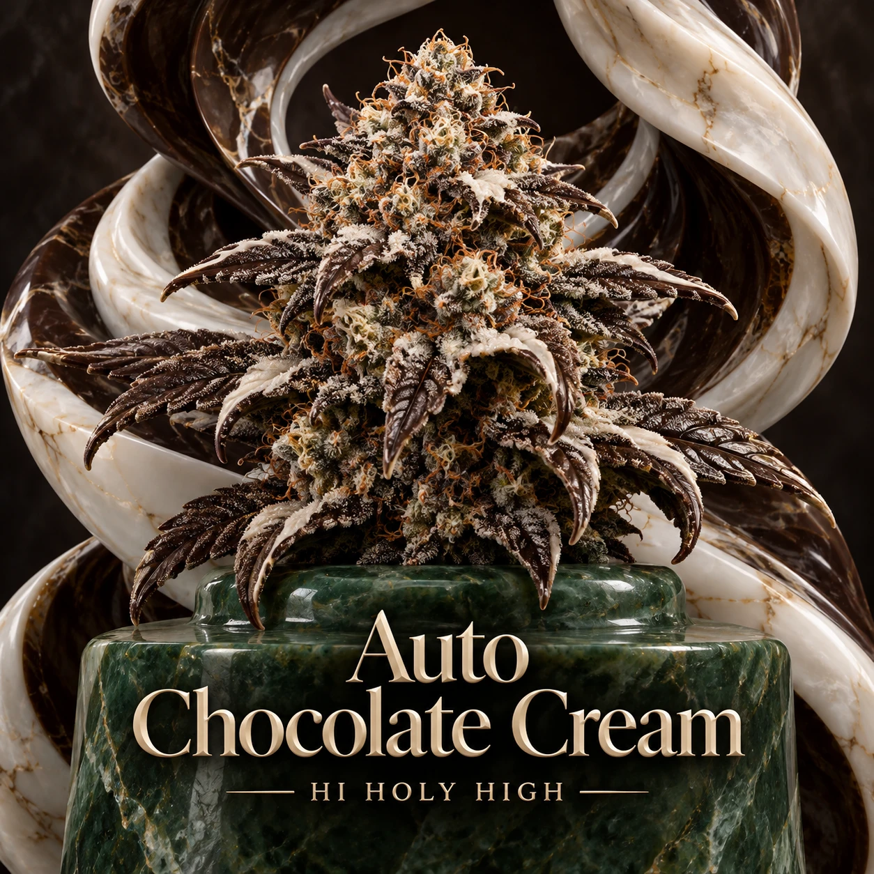 Arte provisional A-S1 · Auto Chocolate Cream