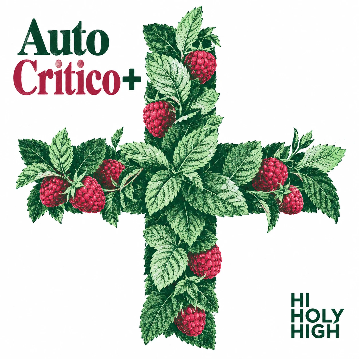 Arte provisional A-S1 · Auto Critico+