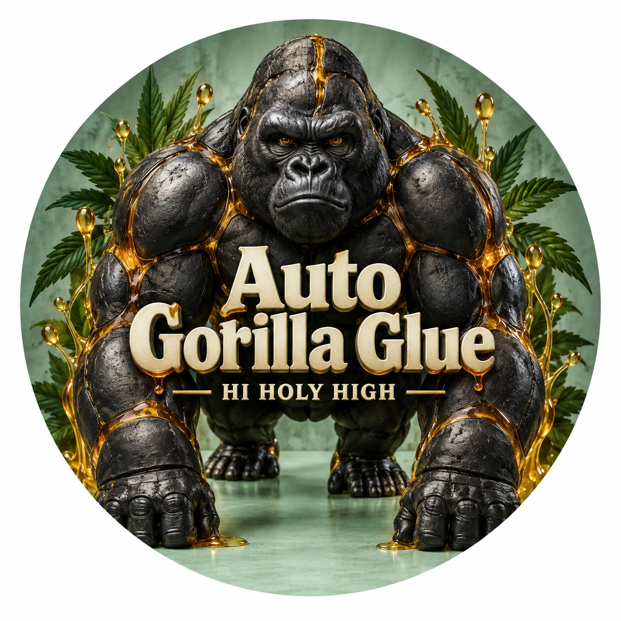 Arte provisional A-R1 · Auto Gorilla Glue