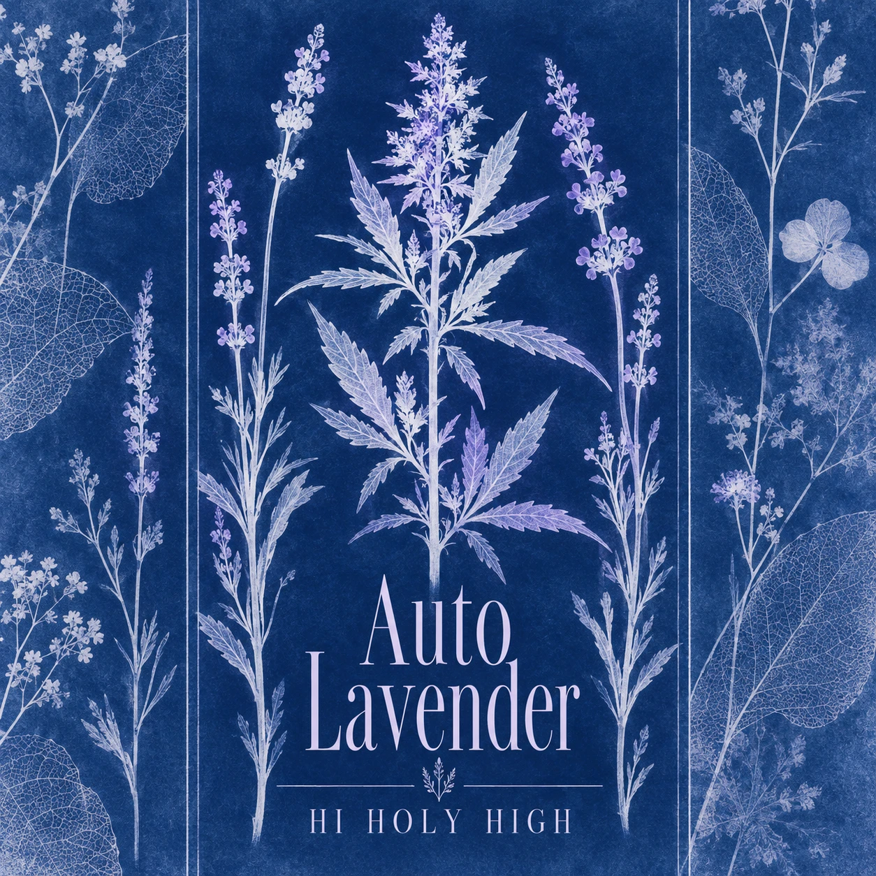 Vorläufiger Entwurf A-S1 · Auto Lavender