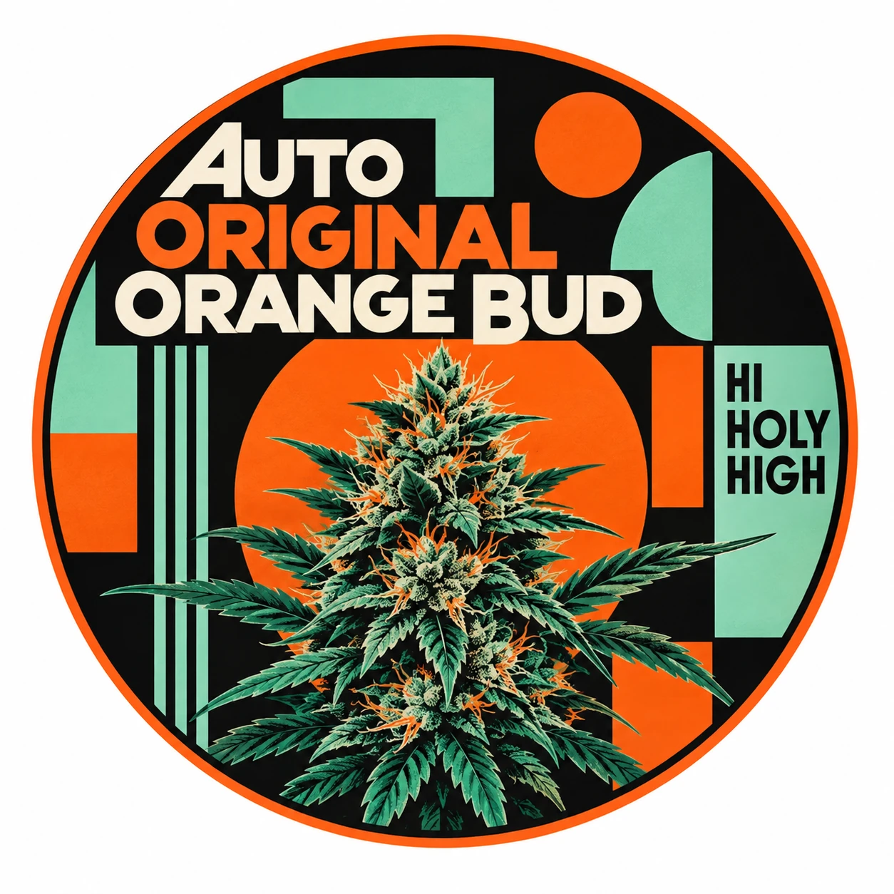 Vorläufiger Entwurf A-R1 · Auto Original Orange Bud