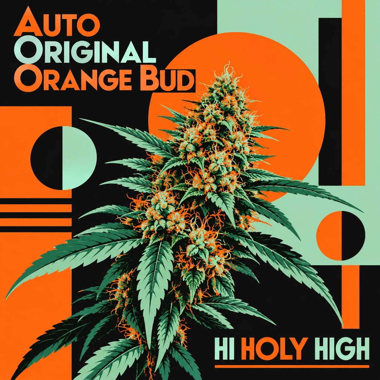 Vorläufiger Entwurf A-S1 · Auto Original Orange Bud
