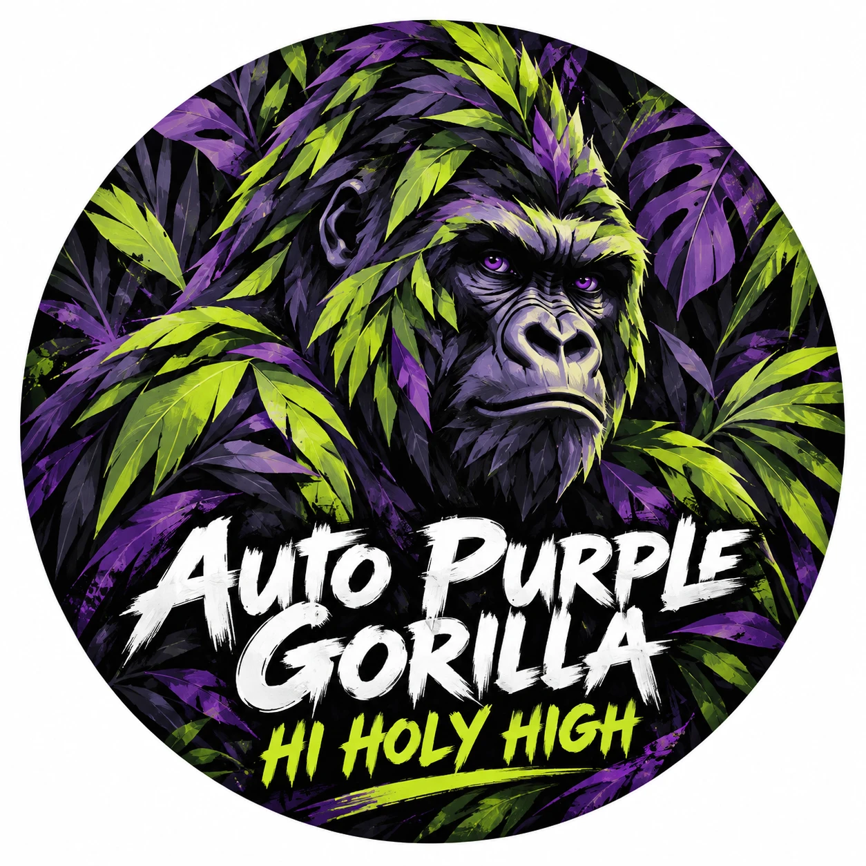 Arte provisional A-R1 · Auto Purple Gorilla