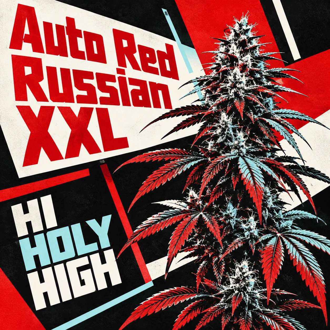 Arte provisional A-S1 · Auto Red Russian XXL