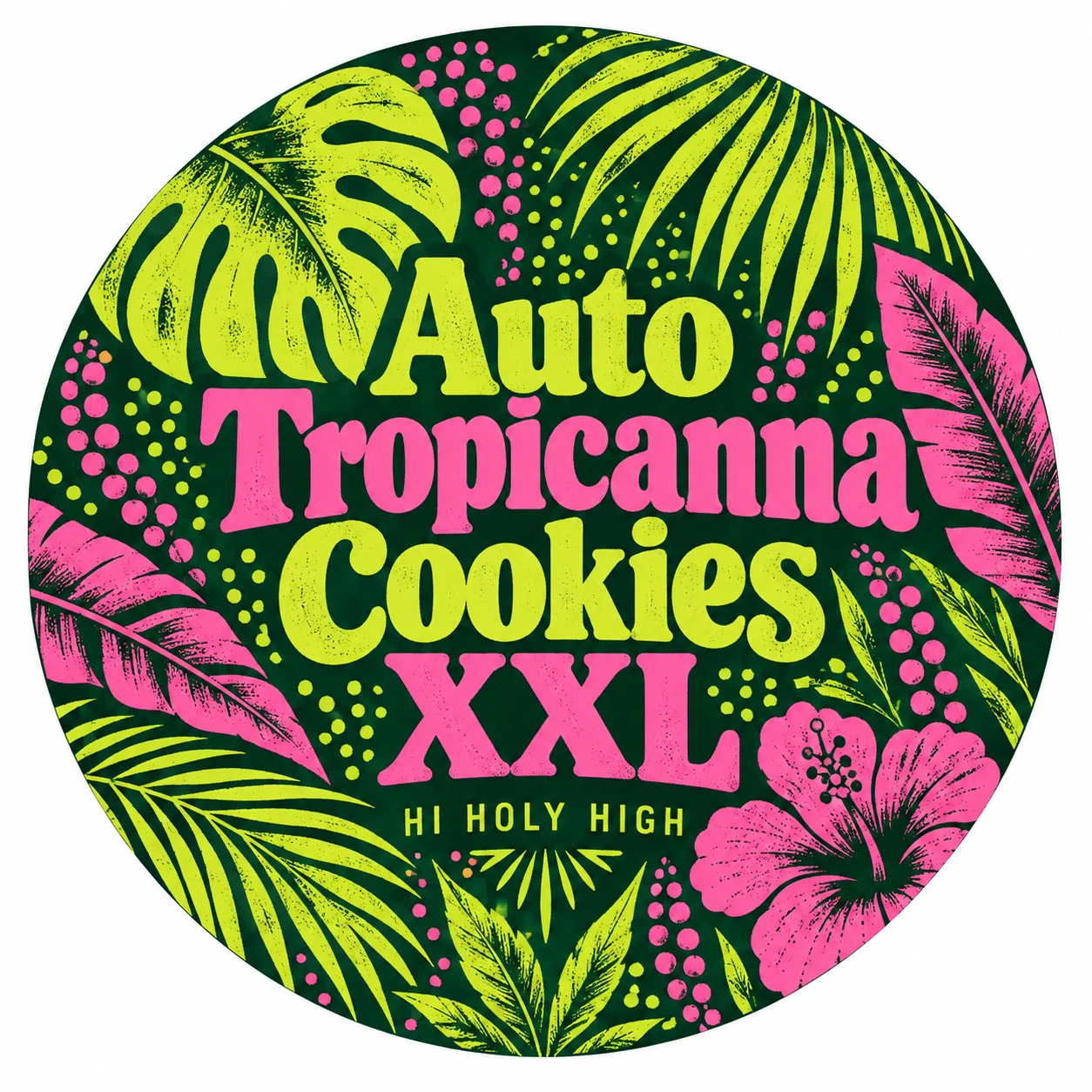Arte provisional A-R1 · Auto Tropicanna Cookies XXL