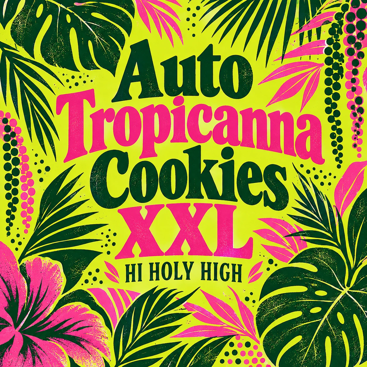 Arte provisional A-S1 · Auto Tropicanna Cookies XXL