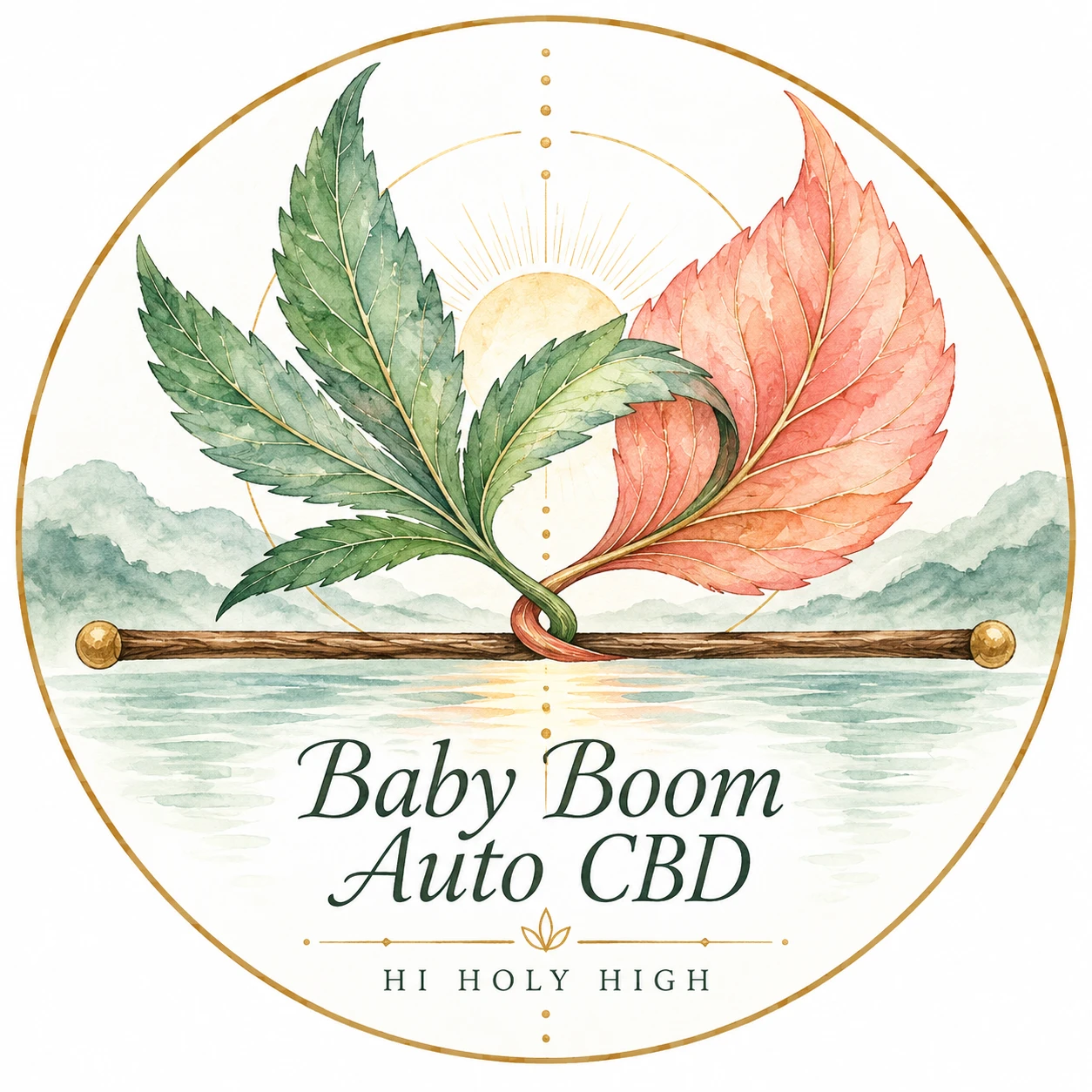 Provisional artwork A-R1 · Baby Boom Auto CBD