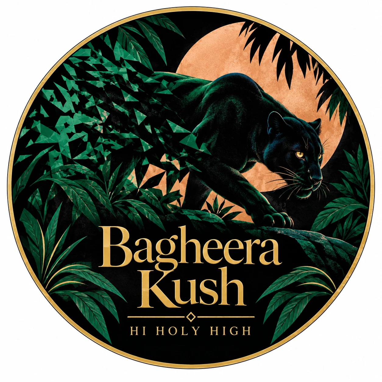 Arte provisional A-R1 · Bagheera Kush