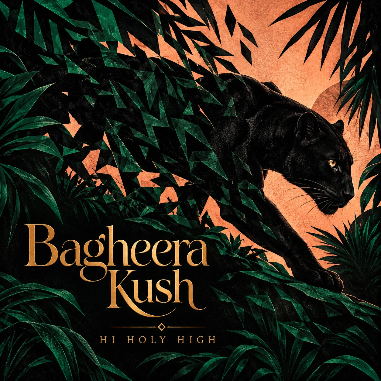 Arte provisional A-S1 · Bagheera Kush