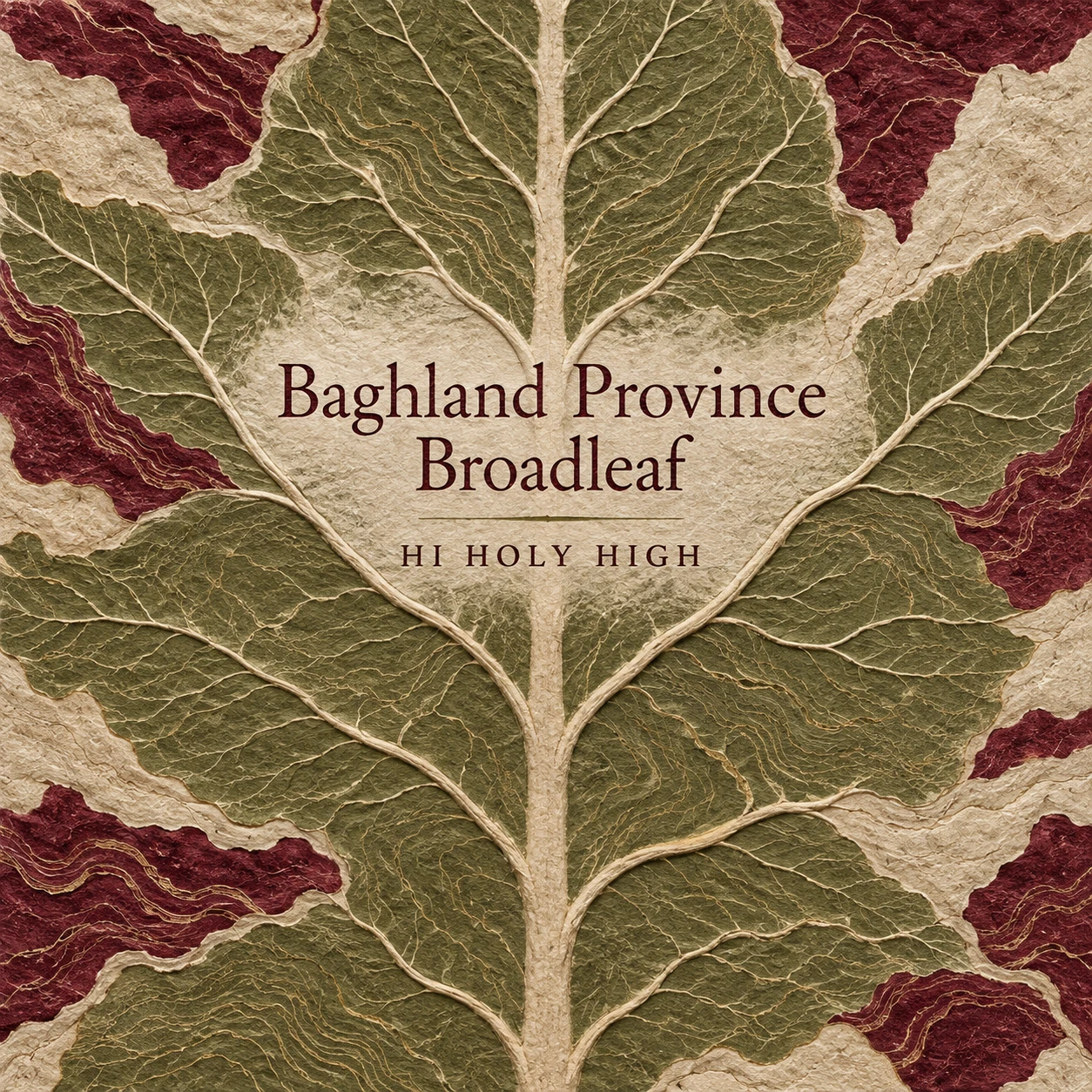 Vorläufiger Entwurf A-S1 · Baghland Province Broadleaf