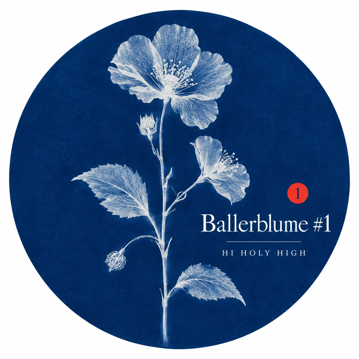 Arte provisional A-R1 · Ballerblume #1