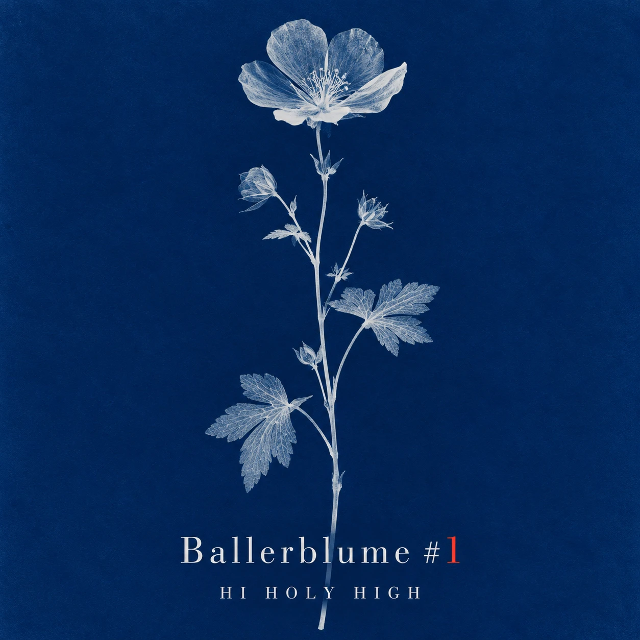 Arte provisional A-S1 · Ballerblume #1