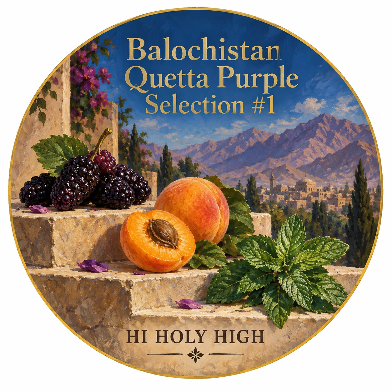 Arte provisional A-R1 · Balochistan Quetta Purple Selection #1