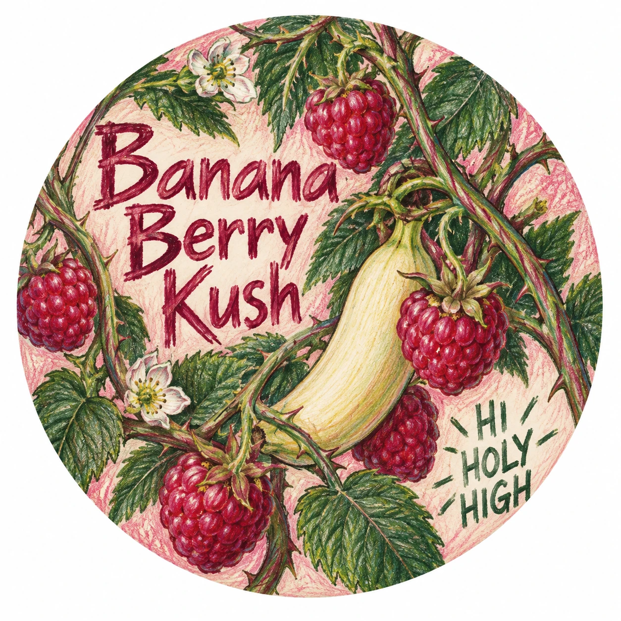 Provisional artwork A-R1 · Banana Berry Kush