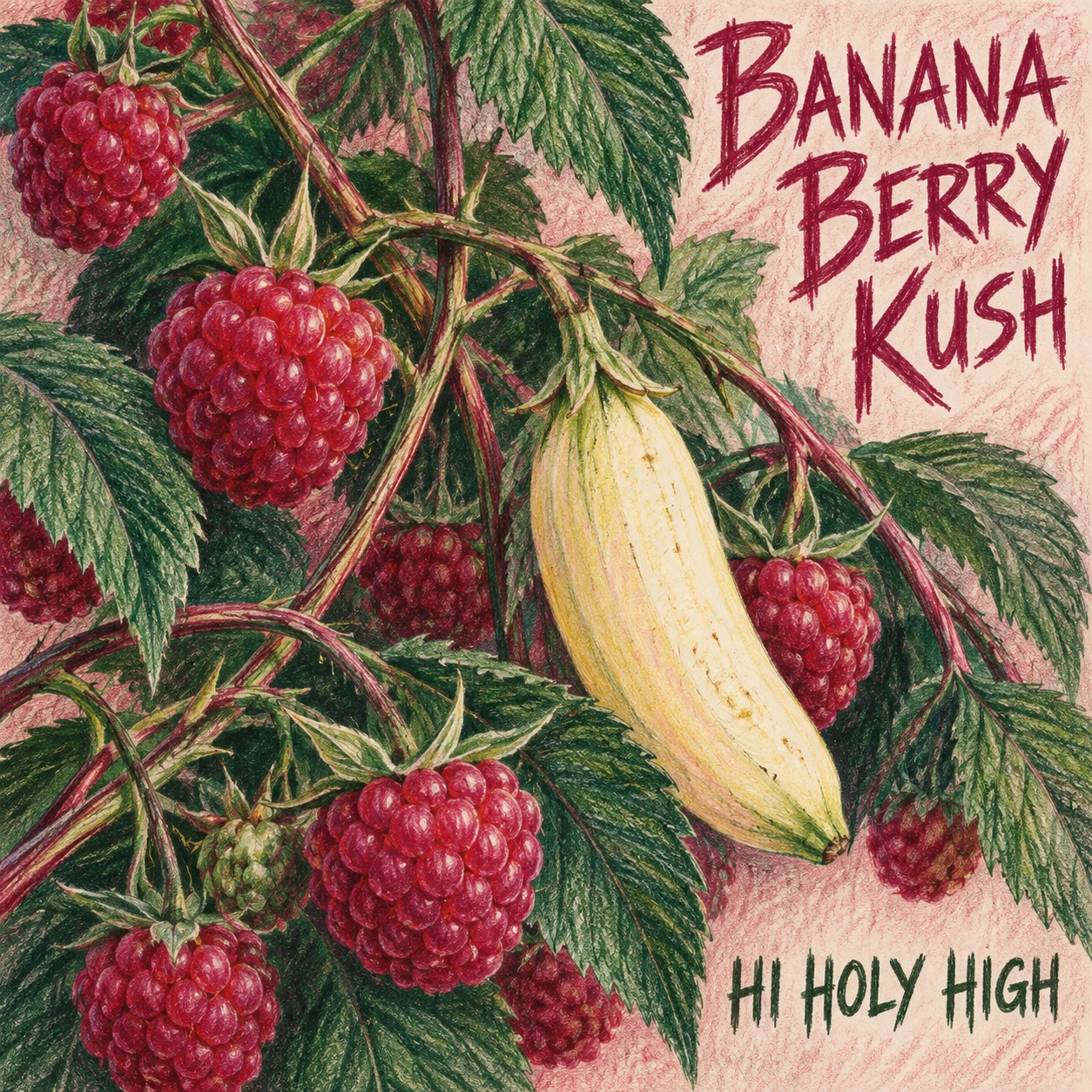 Provisional artwork A-S1 · Banana Berry Kush