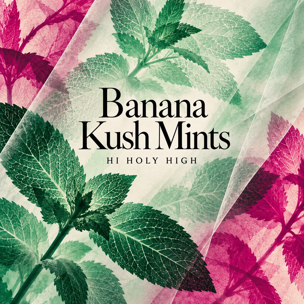 Provisional artwork A-S1 · Banana Kush Mints
