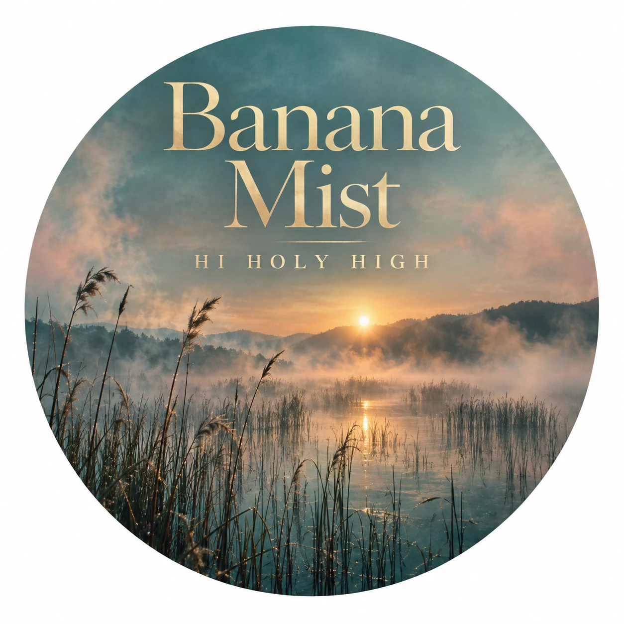 Vorläufiger Entwurf A-R1 · Banana Mist