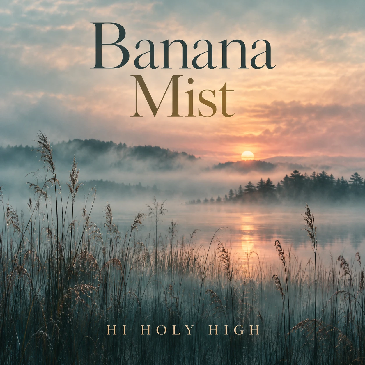 Vorläufiger Entwurf A-S1 · Banana Mist