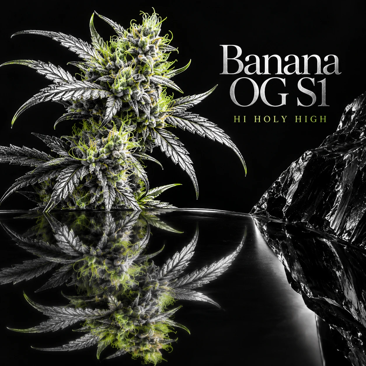 Vorläufiger Entwurf A-S1 · Banana OG S1