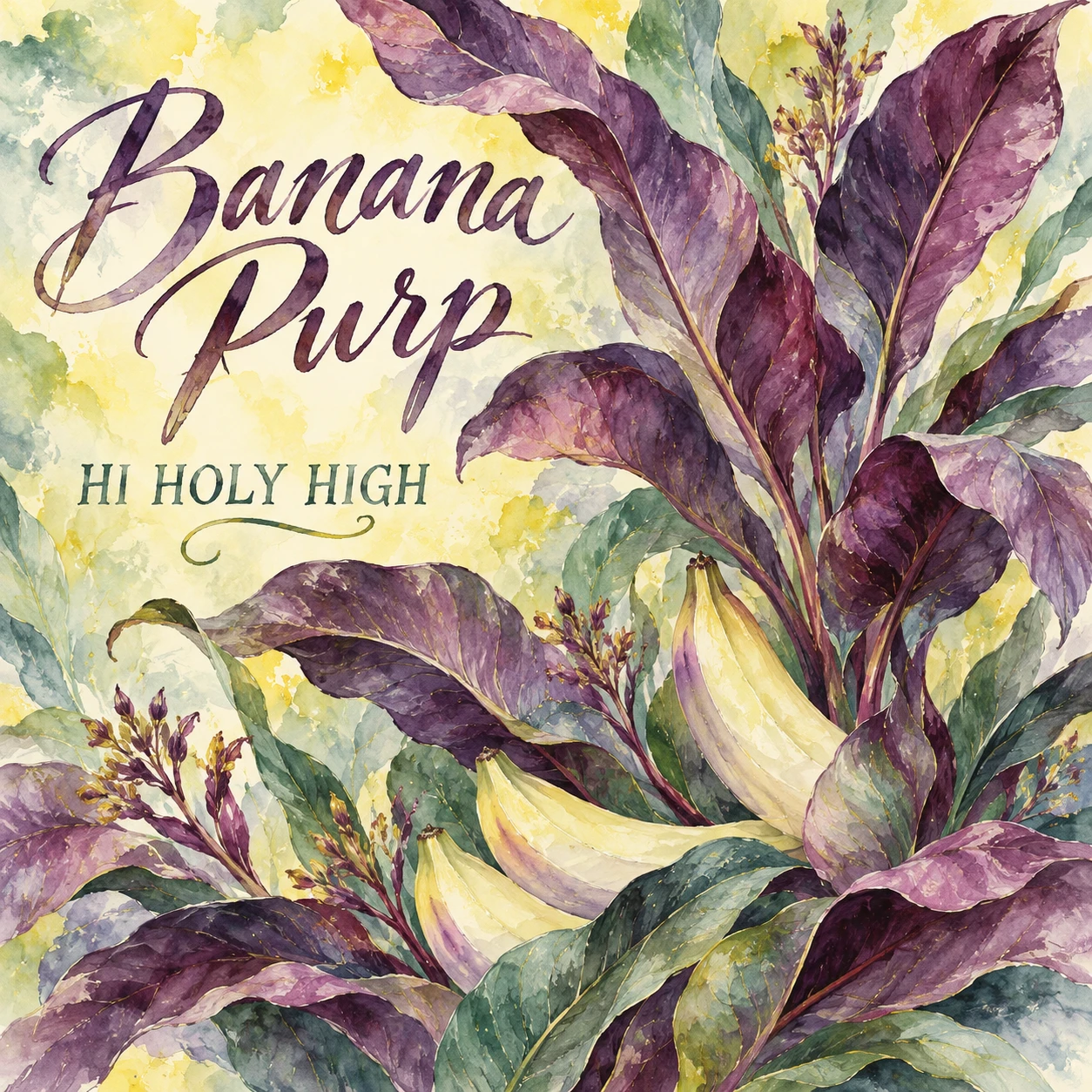 Arte provisional A-S1 · Banana Purp