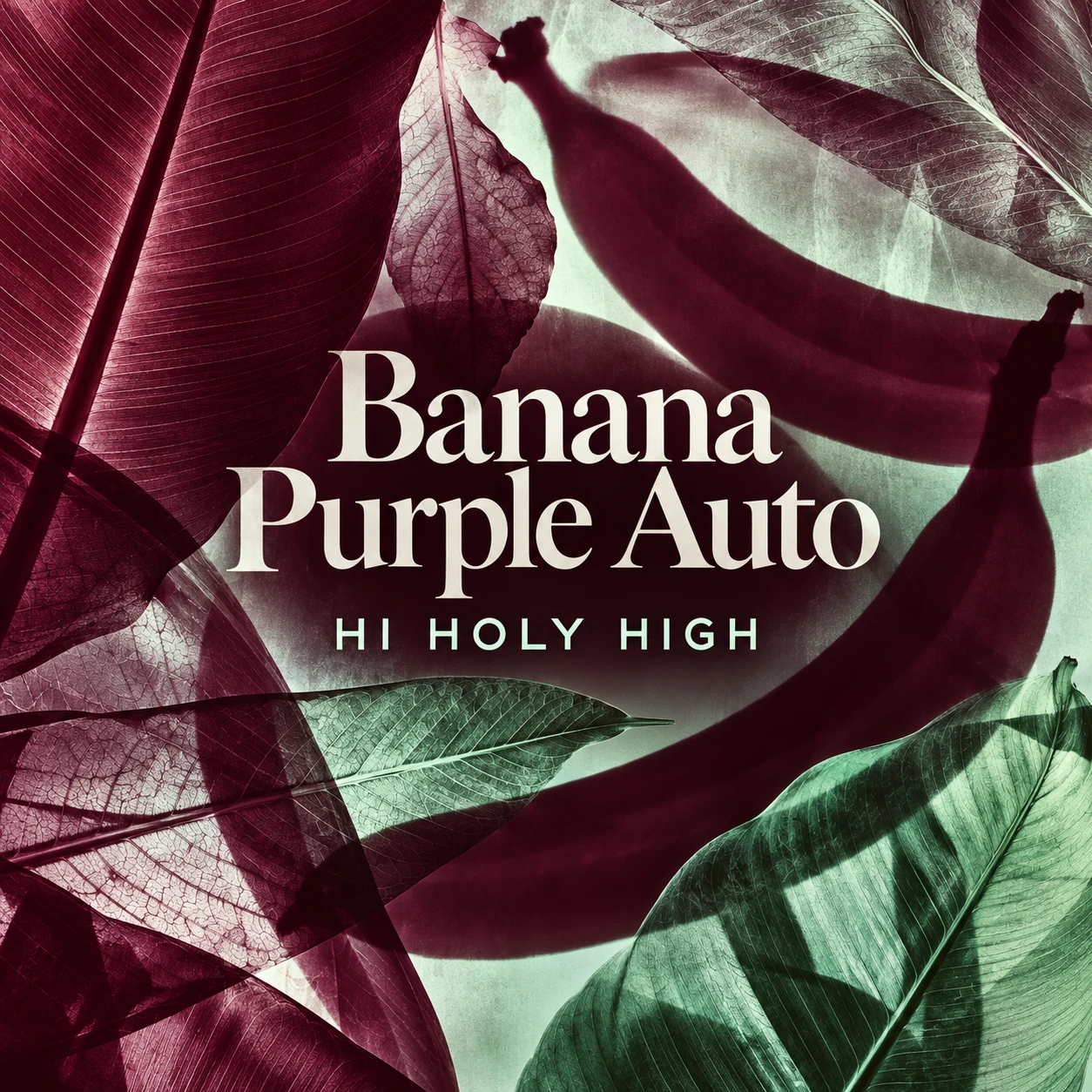Arte provisional A-S1 · Banana Purple Auto