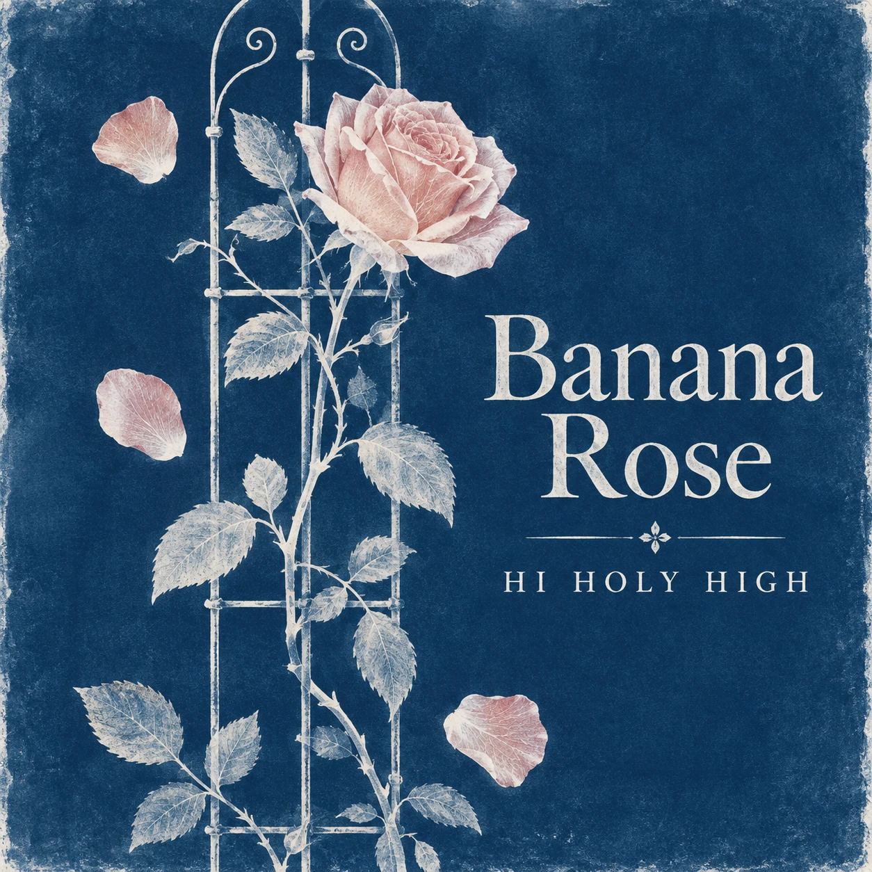 Arte provisional A-S1 · Banana Rose