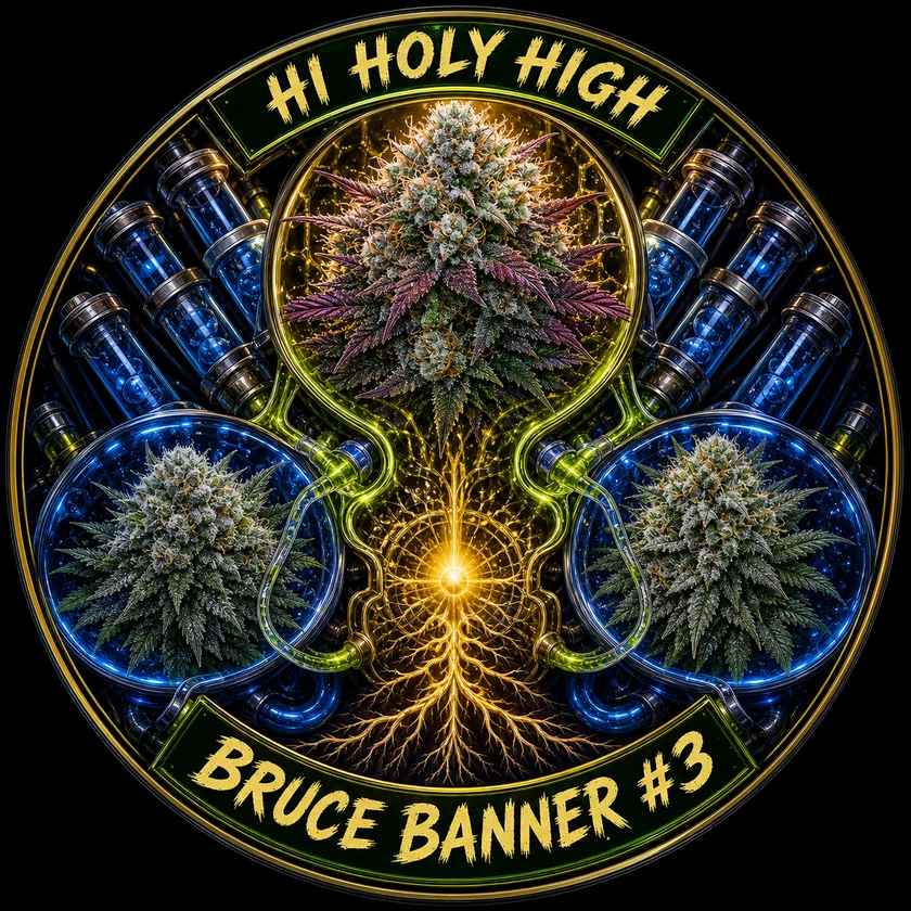 Bestbewertete runde Kunst für Bruce Banner#3 - Anesia S