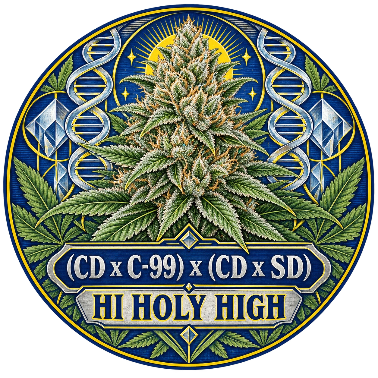 Arte provisional B-R2 · (CD x C-99) x (CD x SD)