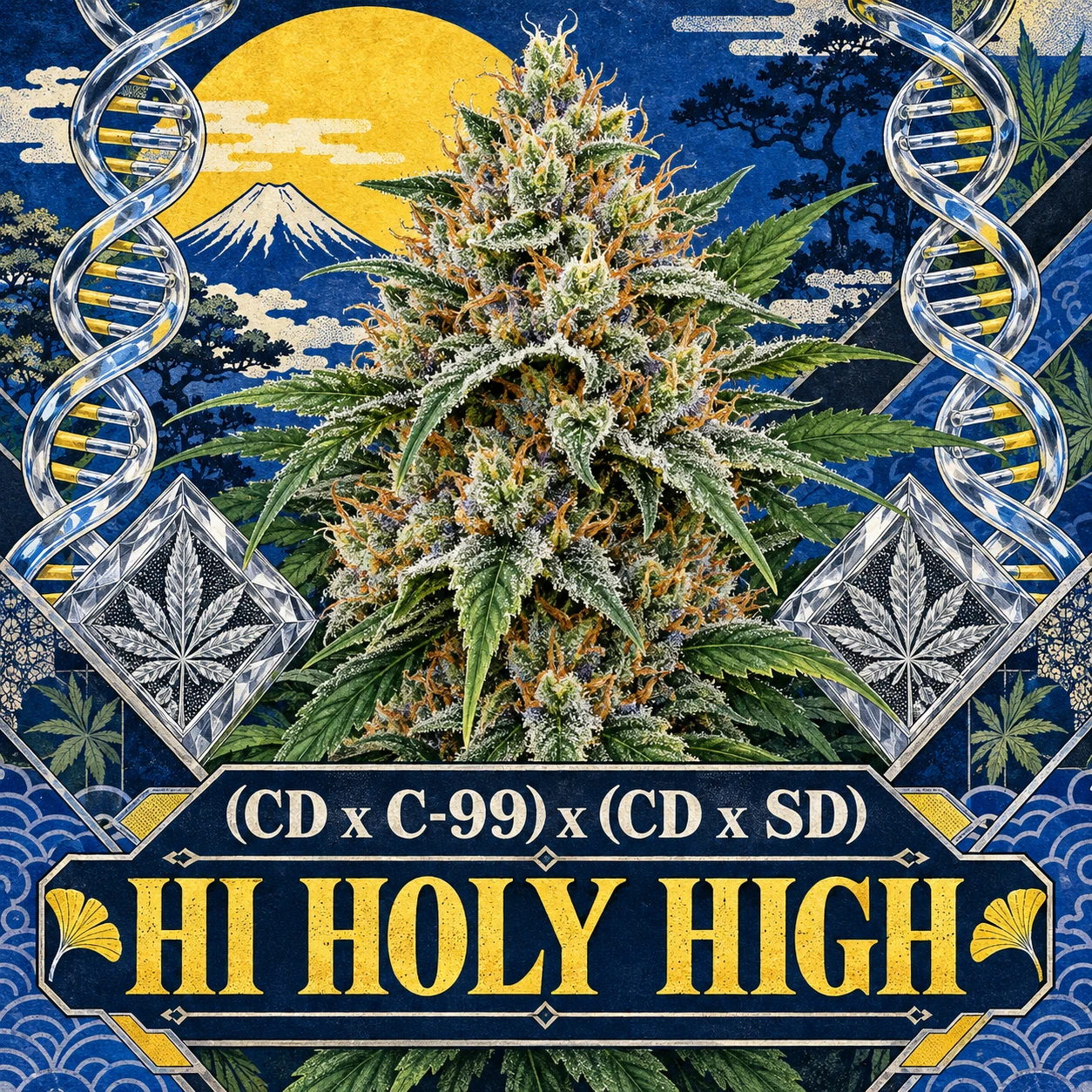 Arte provisional B-S2 · (CD x C-99) x (CD x SD)