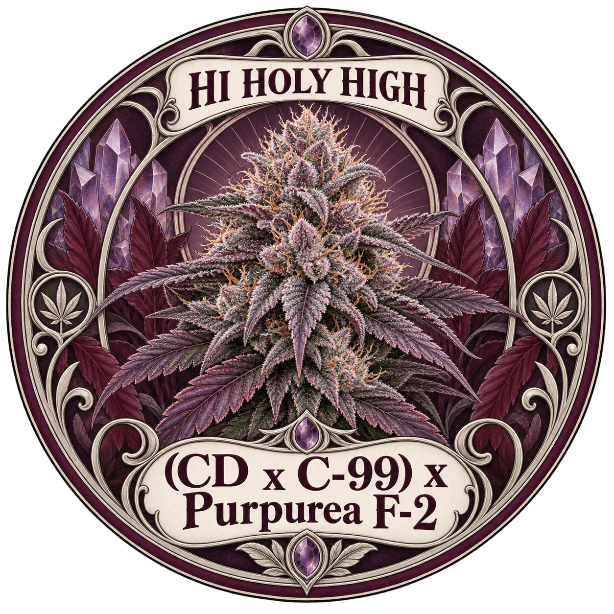 Provisional artwork B-R1 · (CD x C-99) x Purpurea F-2