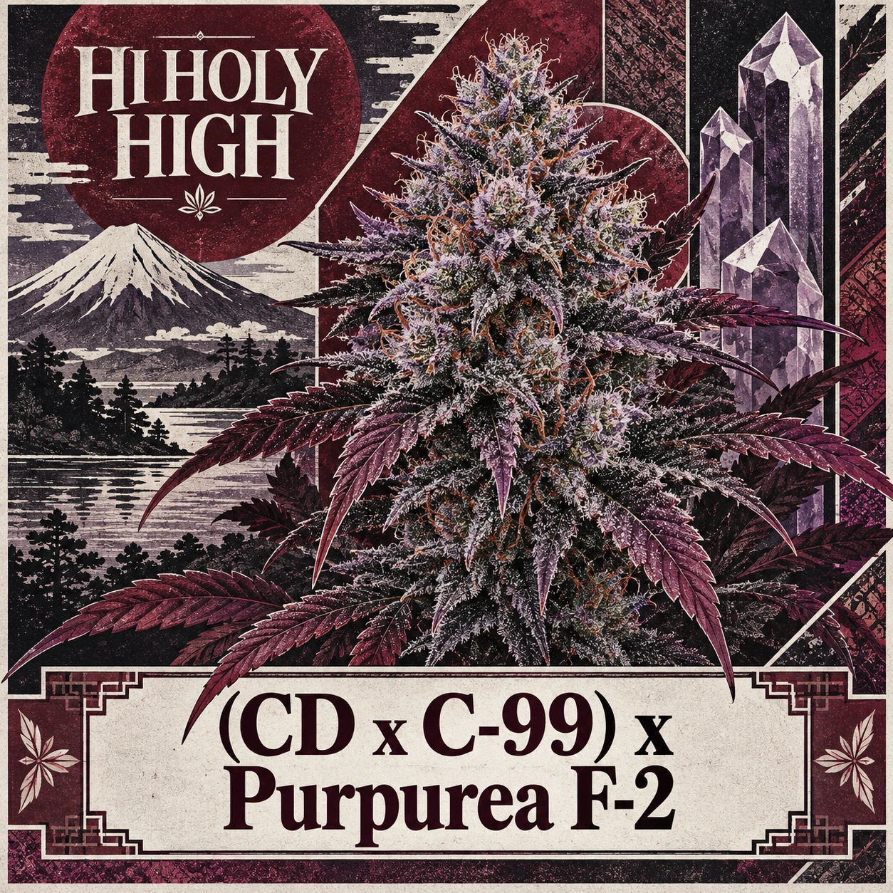 Provisional artwork B-S2 · (CD x C-99) x Purpurea F-2